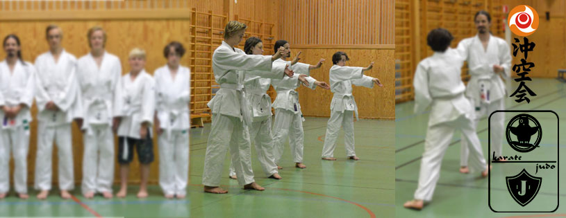 Judo och karate i Järnboås 